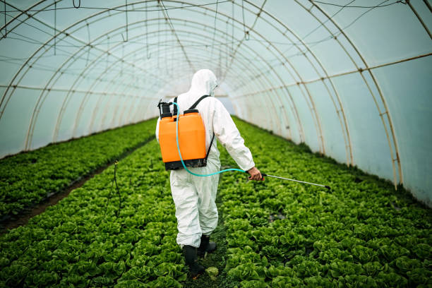 Best Local Pest Control Services  in Indnola, IA
