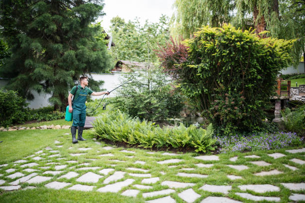 Best Wasp Removal Services  in Indnola, IA