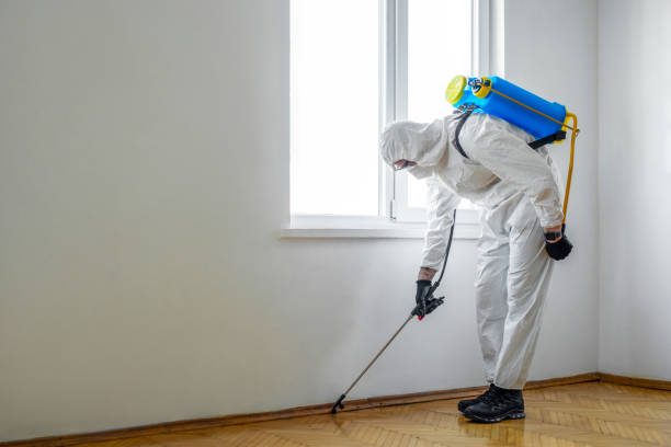 Best Insect Control  in Indnola, IA