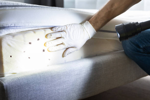 Best Pest Removal Services  in Indnola, IA