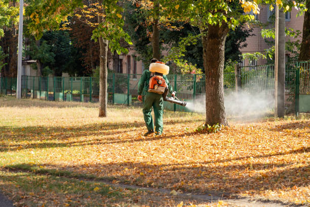 Reliable Indianola, IA Pest Control Solutions