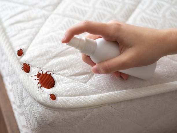 Best Emergency Pest Control  in Indnola, IA