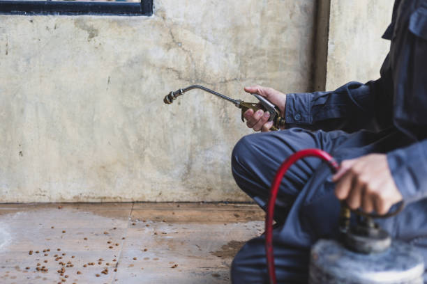 Best Best Pest Control Companies  in Indnola, IA
